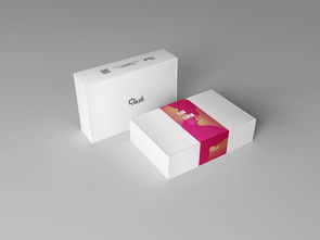 產(chǎn)品包裝 禮盒設計 互聯(lián)網(wǎng)企業(yè)